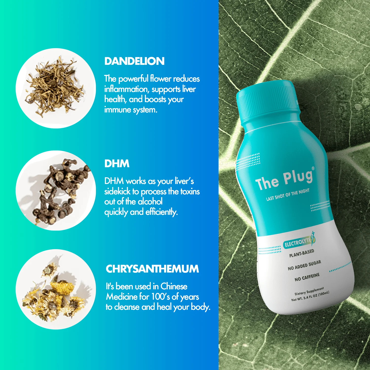 The Plug Drink 24 pack - Image 8
